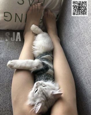 闪电行动