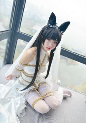 潇洒佳人淡淡妆电视剧